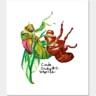 Watercolor Cicada Posters and Art